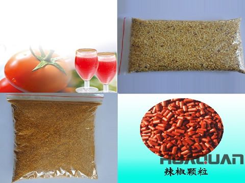 奔走在沙海、雪山的邊緣