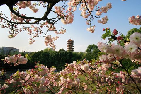 『隨華全，觀天下』 ——走進渝北