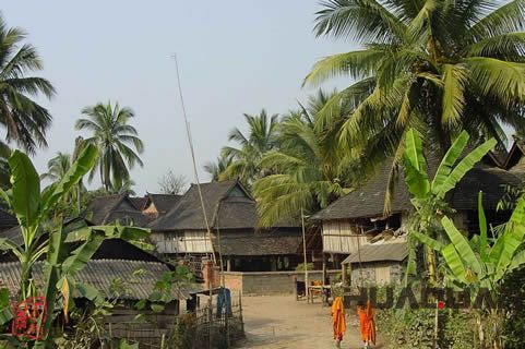 『隨華全，觀天下』 ——走進勐海