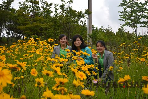 大乳山游記之一： 長(zhǎng)江路，讓心情在這里“撒歡撂跤”