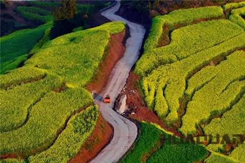 知道“油菜花之鄉(xiāng)”嗎？羅平好地方，華全發(fā)貨忙！