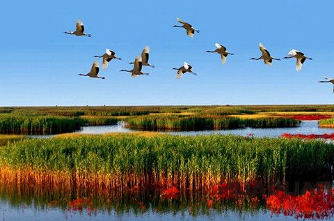 華全發(fā)電機(jī)：接地氣！大濰坊一言不合又?jǐn)€了個全省 